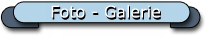 Foto - Galerie